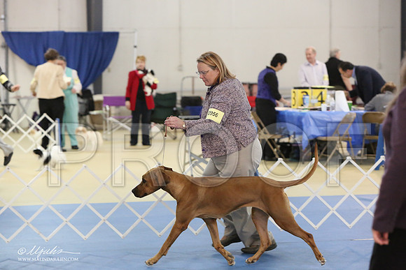 RR-0978-LR