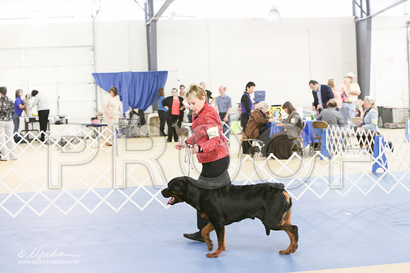 Rott-0270-LR