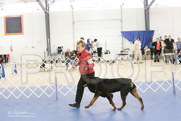 Rott-0274-LR
