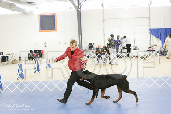 Rott-0276-LR
