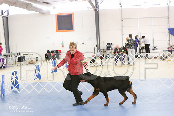 Rott-0277-LR