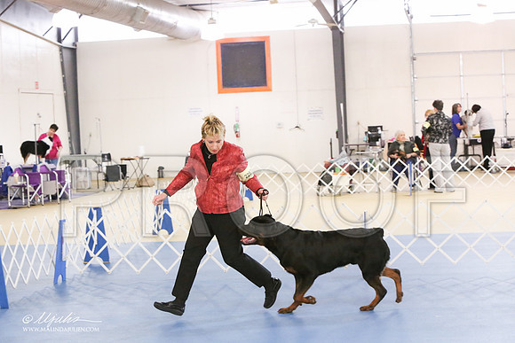 Rott-0278-LR