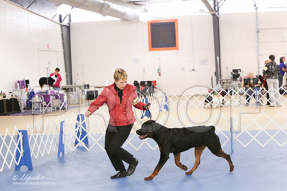 Rott-0279-LR