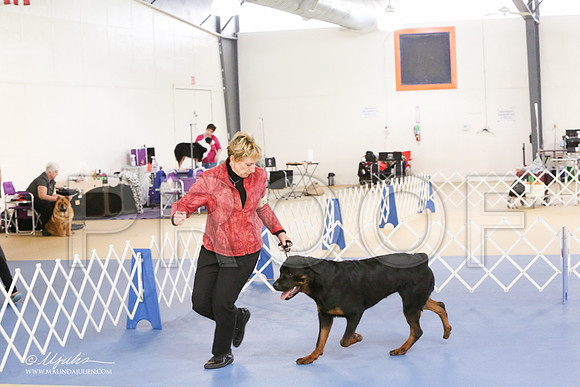 Rott-0281-LR