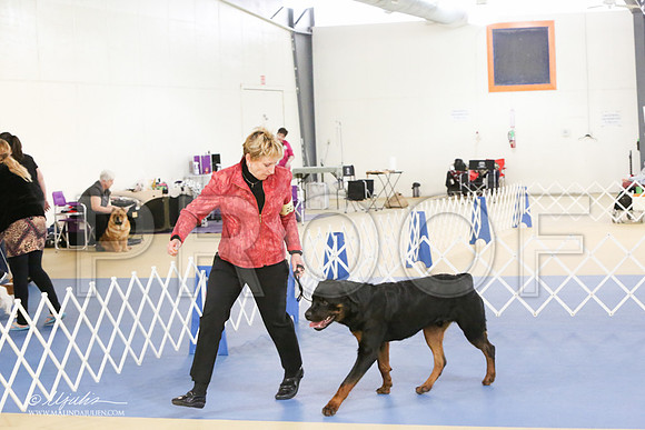 Rott-0282-LR