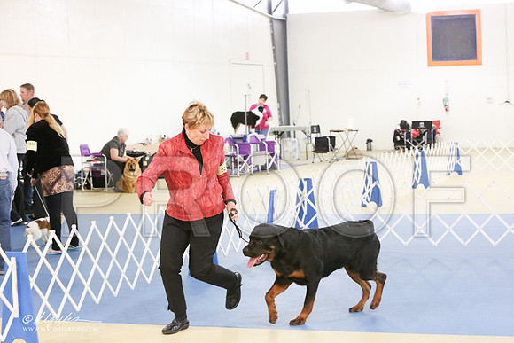 Rott-0283-LR