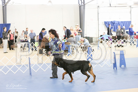 Rott-0284-LR
