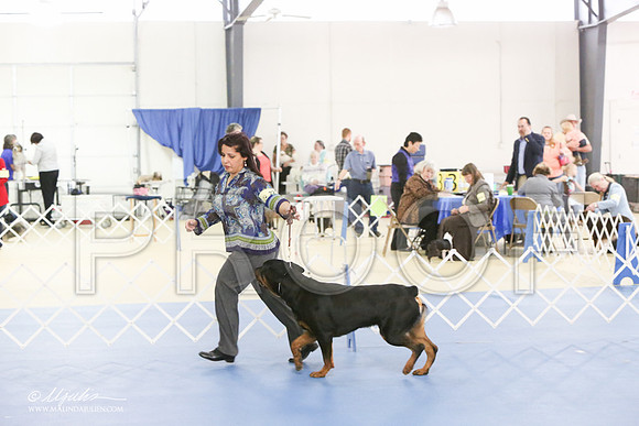 Rott-0287-LR