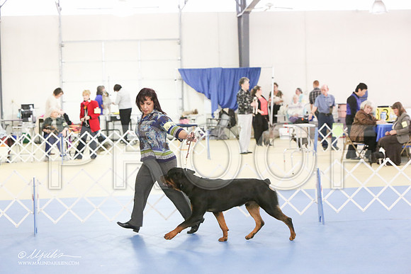 Rott-0289-LR