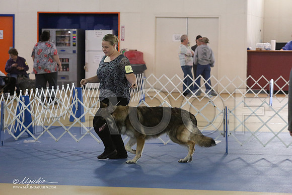 Shiloh-8804-LR