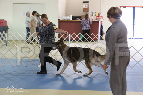 Shiloh-8817-LR