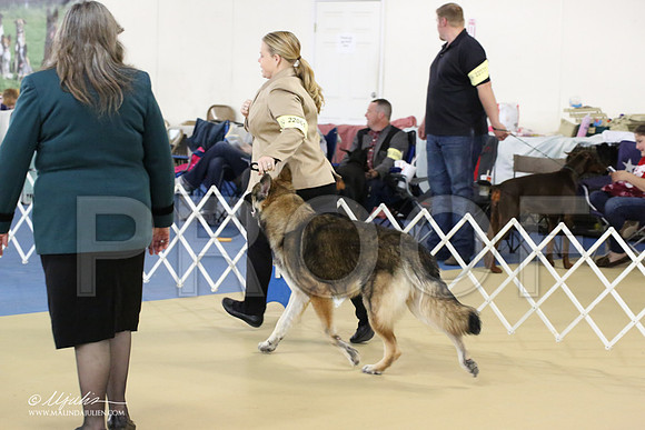 Shiloh-0983-LR