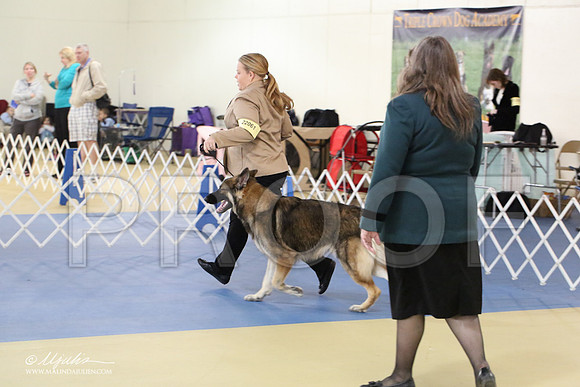 Shiloh-0984-LR