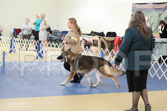 Shiloh-0985-LR