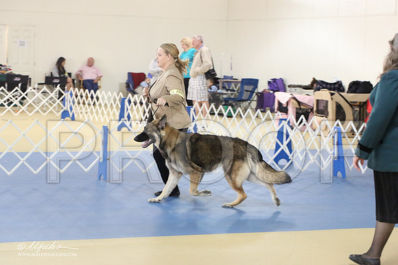 Shiloh-0987-LR