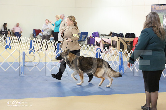 Shiloh-0986-LR