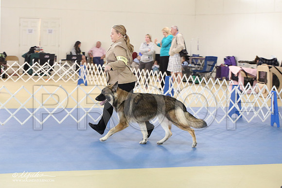 Shiloh-0988-LR