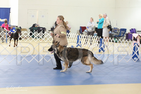 Shiloh-0989-LR