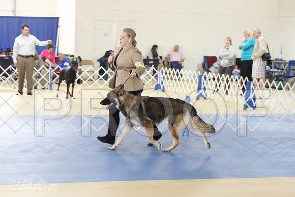 Shiloh-0990-LR