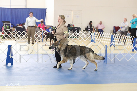 Shiloh-0991-LR