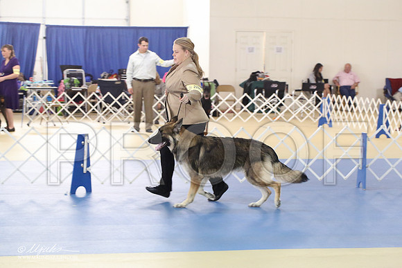 Shiloh-0992-LR