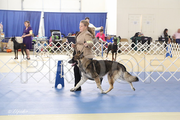 Shiloh-0993-LR