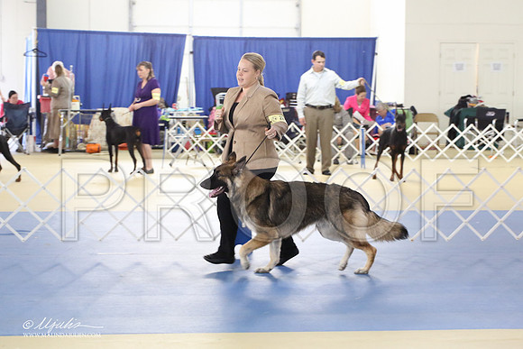 Shiloh-0994-LR