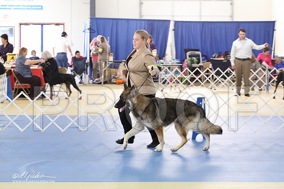 Shiloh-0996-LR