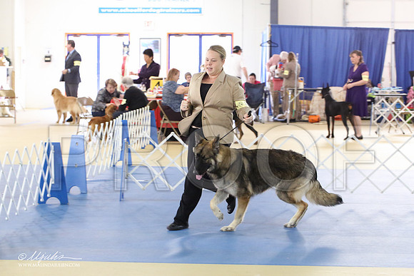 Shiloh-0999-LR