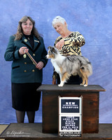 Toy Australian Shepherd New Champ Sun Tuggie Arnold LR IABCA Feb 2013