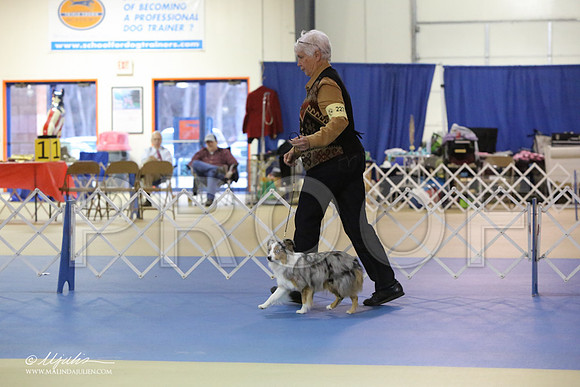 ToyAusShp-2579-LR