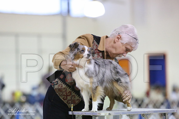 ToyAusShp-2589-LR