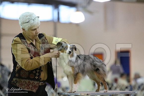 ToyAusShp-2595-LR