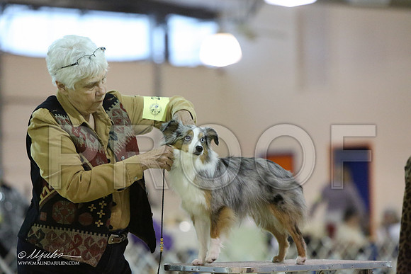 ToyAusShp-2596-LR