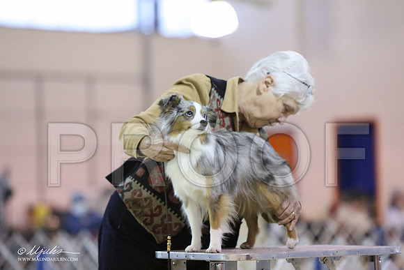 ToyAusShp-2591-LR