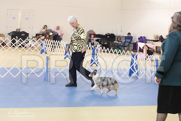 ToyAusShp-1163-LR