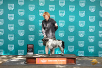Epagneul Breton #129 Sun G2 TD Judge Kevin Carroll