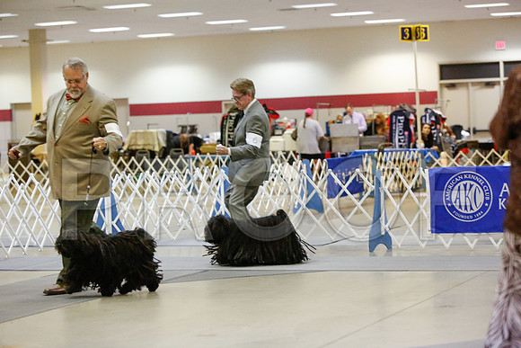 _JN_4391-AmarilloSept2014-HR3