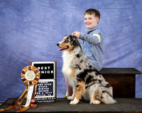 Australian Shepherd Grace Harper Jacob McCurry Best Junior RESHOOT LR IABCA Feb 2013