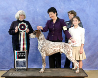 German Shorthaired Pointer Sun Grand Sieger Karen Hunt LR IABCA Feb 2013