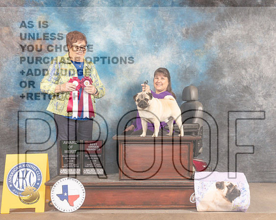 Pug #33 Fri AOM OHBOB Judge Pam Peat-MMJ_7104-FW2022-HR3