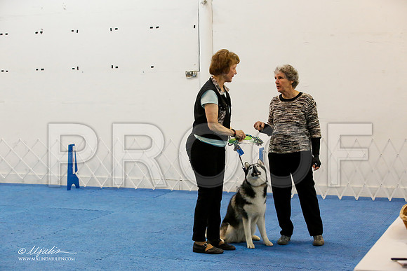 _M3_8058-AddisonHuskyMar2015-HR3