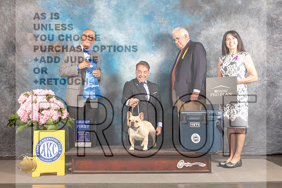 French Bulldog #7 Thur G1 Judge Luis Sosa_MJ_4546_Houston_2022_HR3