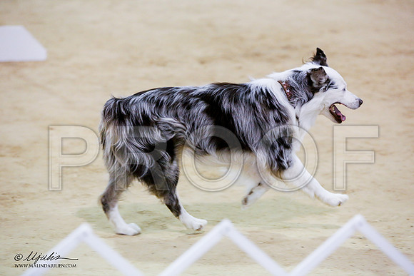 _JN_7650-ASCACollegeStationNov2014-HR3