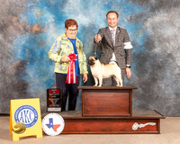 Pug #14 Fri BOS Judge Pam Peat