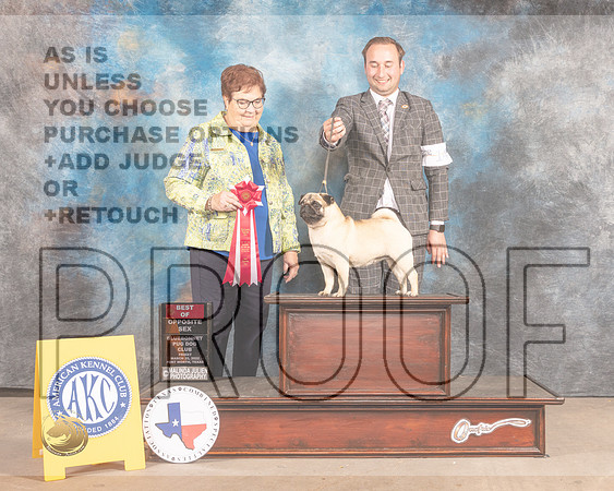 Pug #14 Fri BOS Judge Pam Peat-MMJ_7162-FW2022-HR3