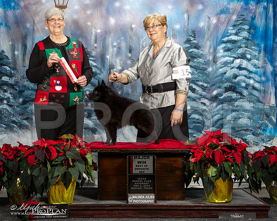 _ST_8517-DallasDec2014-HR3