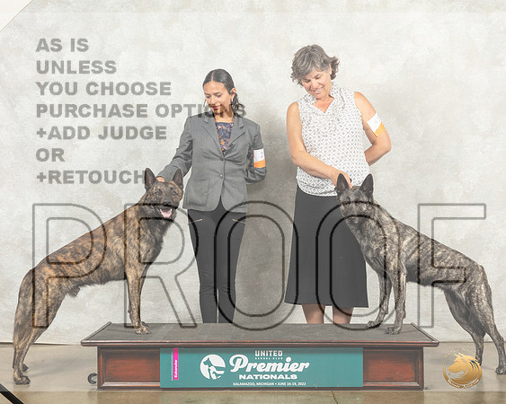 Dutch Shepherd #419 Family Photo__MJ_8947_Premier_2022_HR3