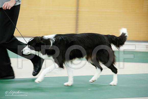 _JJ_4642-NrmnNov2014-HR3