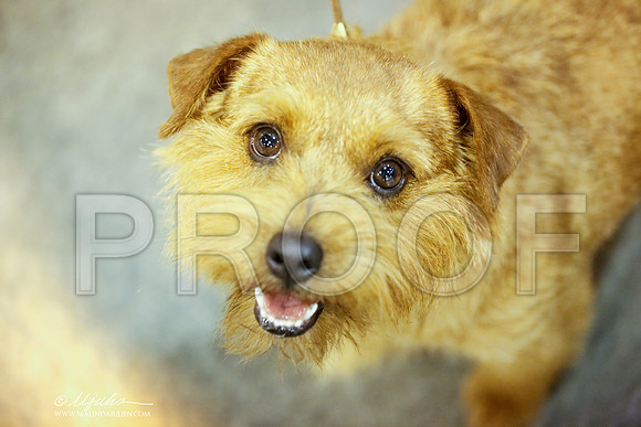 _JN_9163-HstnJul2014-HR3